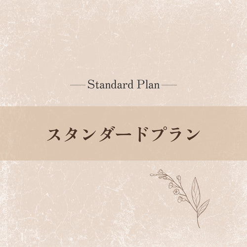 ロゴデザイン×AIリサーチ【スタンダードプラン】